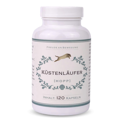Küstenläufer Hopp - für Hunde